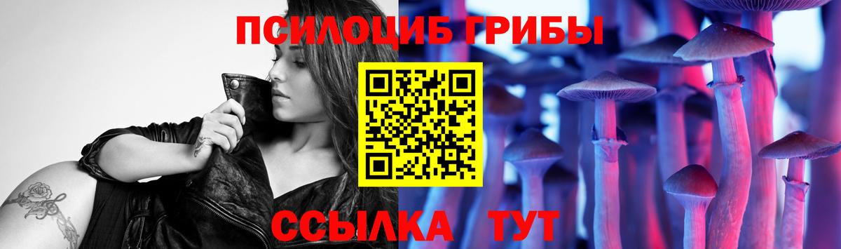 Псилоцибиновые грибы мицелий Ачинск